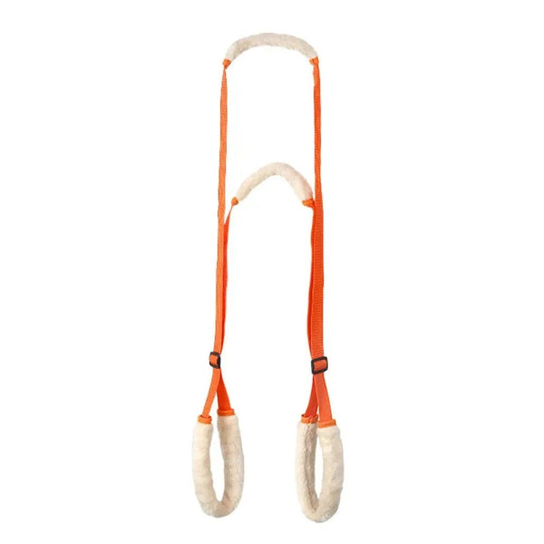 Rehabilitation Training Aid Back Legs Strap Support Dog Harness - GreenFur