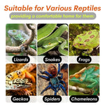 Reptile Hammock with Suction Cups and Hanging Rope for Terrarium Jungle Tank, Green - GreenFur