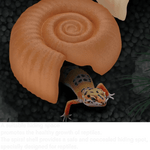Reptile Hide Spiral Shell Plastic Cave for Terrarium and Enclosure Decor, Orange - GreenFur