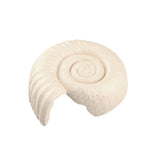 Reptile Hide Spiral Shell Plastic Cave for Terrarium and Enclosure Decor, White - GreenFur