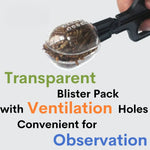 Reptile Insect Catching Tweezers Transparent ABS Feeding and Cleaning Tool, Black - GreenFur