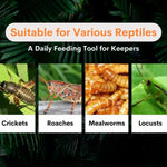 Reptile Insect Catching Tweezers Transparent ABS Feeding and Cleaning Tool, Blue - GreenFur