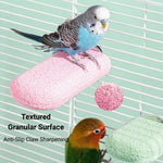 Resin Sand - Coated Bird Perch Stand for Nail and Beak Grooming - GreenFur