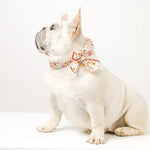 Reusable Cooling Pet Neck Scarf Cooling Bandana for Summer Heat Relief - GreenFur