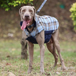 Reversible Waterproof Warm Dog Coat for Large Breeds - GreenFur