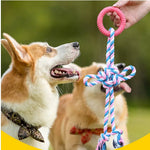 Ring Rope Tug of War Toy for Medium and Large Dogs - GreenFur