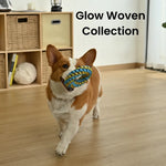 Ring Style Glow in the Dark Polyester Woven Strip Dog Toy - GreenFur