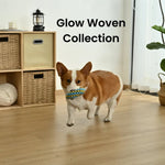 Ring Style Glow in the Dark Polyester Woven Strip Dog Toy - GreenFur