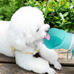 Roll - Up Foldable Portable Fashion Silicone Pet Water Bottle - GreenFur