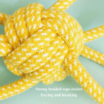 Rope Dog Toy Braided Ball Interactive Chew Training Toy - GreenFur