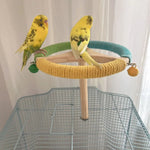 Rotating Perch Wheel Colorful Stand Toy for Birds - GreenFur
