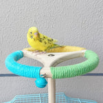Rotating Perch Wheel Colorful Stand Toy for Birds - GreenFur