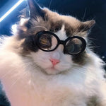Round Frame Pet Sunglasses for Cats and Small Dogs - GreenFur