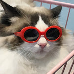 Round Frame Pet Sunglasses for Cats and Small Dogs - GreenFur