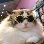 Round Frame Pet Sunglasses for Cats and Small Dogs - GreenFur