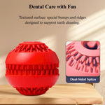 Rubber Treat Dispensing Ball Toy for Dogs - GreenFur