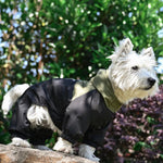 S, M Size Stylish Patchwork Waterproof PU Fabric Dog Raincoat - GreenFur