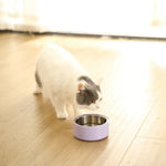S Size Detachable Non - Slip Durable Double - Layer Feeder Bowl - GreenFur