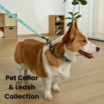 S Size Luxury Easy Cleaning Wear - Resistant Waterproof Pet Dog Leash - GreenFur