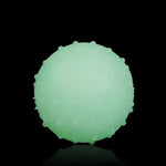 Safe Glow In The Dark Dog Toys Floatable Interactive Light Up Dog Toy - GreenFur