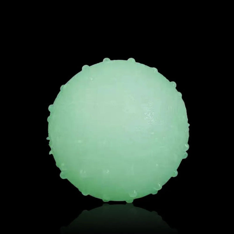 Safe Glow In The Dark Dog Toys Floatable Interactive Light Up Dog Toy - GreenFur