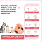 Self - Play Toy Interactive Cat Ball Track Toy with Teaser Wand - GreenFur