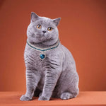 Shiny Heart - shaped Diamond Pet Necklace - GreenFur