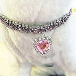 Shiny Heart - shaped Diamond Pet Necklace - GreenFur