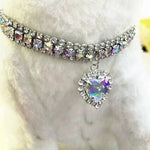 Shiny Heart - shaped Diamond Pet Necklace - GreenFur