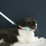 Silicone AirTag Holder Adjustable Love Heart and Paw Pet Collar - GreenFur