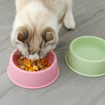 Simple Round Wheat Straw Material Pet Water Bowl Cat Dog Food Bowls - GreenFur