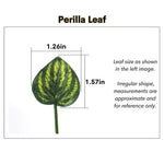 Simulation Hanging Vines for Reptile Terrariums with Suction Cups, Perilla Leaf - GreenFur