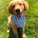 Single Layer Printed Triangle Bandanas for Dogs and Cats - GreenFur