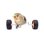 Skateboard Roller Training Toy for Medium and Small Birds - GreenFur