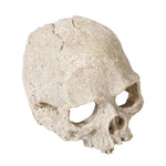 Skull Fish Tank Decoration Resin Craft Skeleton Head Hiding House - GreenFur