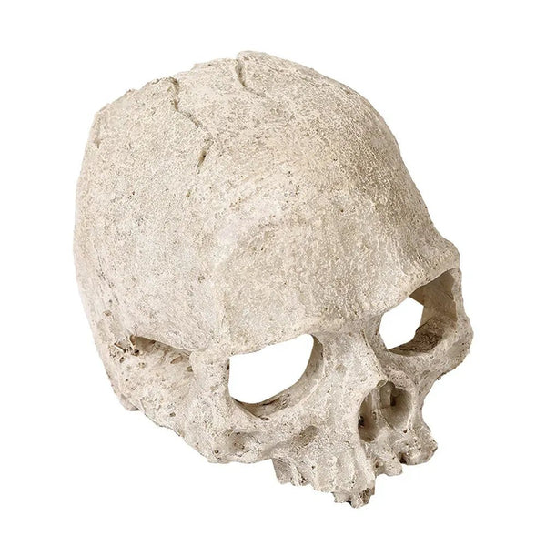 Skull Fish Tank Decoration Resin Craft Skeleton Head Hiding House - GreenFur