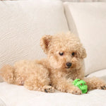 Slow Feeder Ball Toy for Dogs Chewing Training Enrichment - GreenFur