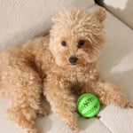 Slow Feeder Ball Toy for Dogs Chewing Training Enrichment - GreenFur