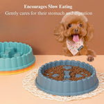 Slow Feeder Pet Bowl Anti Choking Non Slip Food Dish for Dogs and Cats - GreenFur