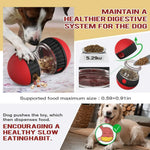 Slow Feeder Toy Rolling Feeder Ball for Dog - GreenFur