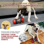 Slow Feeder Toy Rolling Feeder Ball for Dog - GreenFur