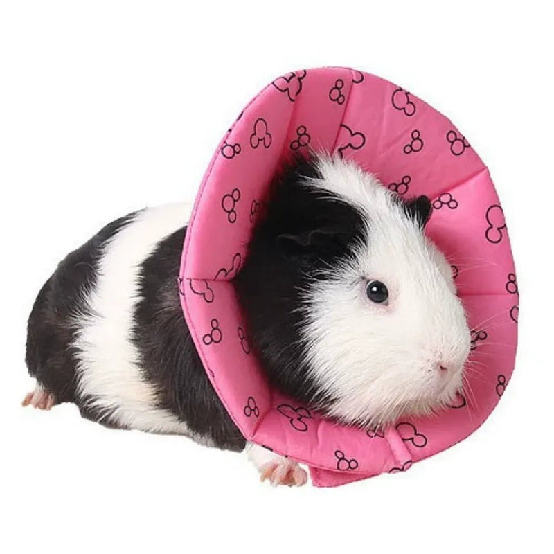 Small Animal Elizabethan Protective Collar - GreenFur