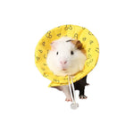 Small Animal Elizabethan Protective Collar - GreenFur