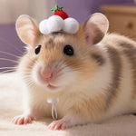Small Animal Strawberry Cream Cake Hat for Hamster Guinea Pig - GreenFur