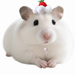Small Animal Strawberry Cream Cake Hat for Hamster Guinea Pig - GreenFur