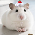 Small Animal Strawberry Cream Cake Hat for Hamster Guinea Pig - GreenFur