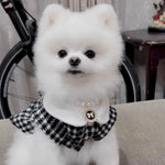 Small Breed Chic Tweed Dog Coat with Necklace and Chest Flower - GreenFur