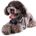 Small Dog Harness and Leash Set Pet Harness with Soft Mesh - GreenFur