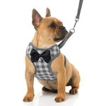 Small Dog Harness and Leash Set Pet Harness with Soft Mesh - GreenFur