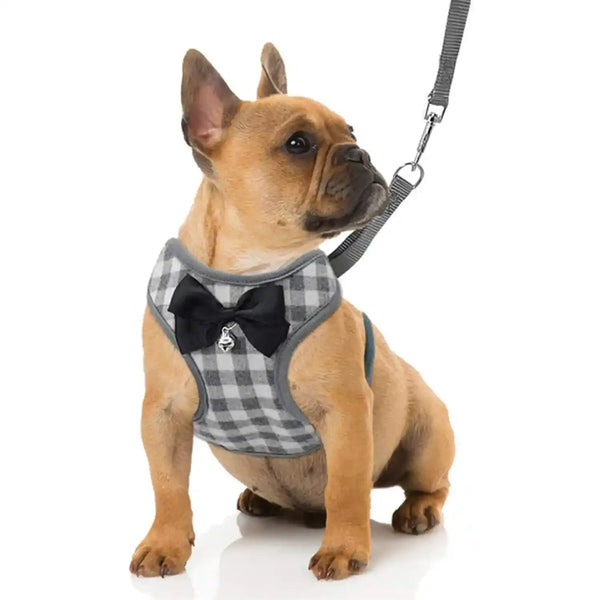Small Dog Harness and Leash Set Pet Harness with Soft Mesh - GreenFur
